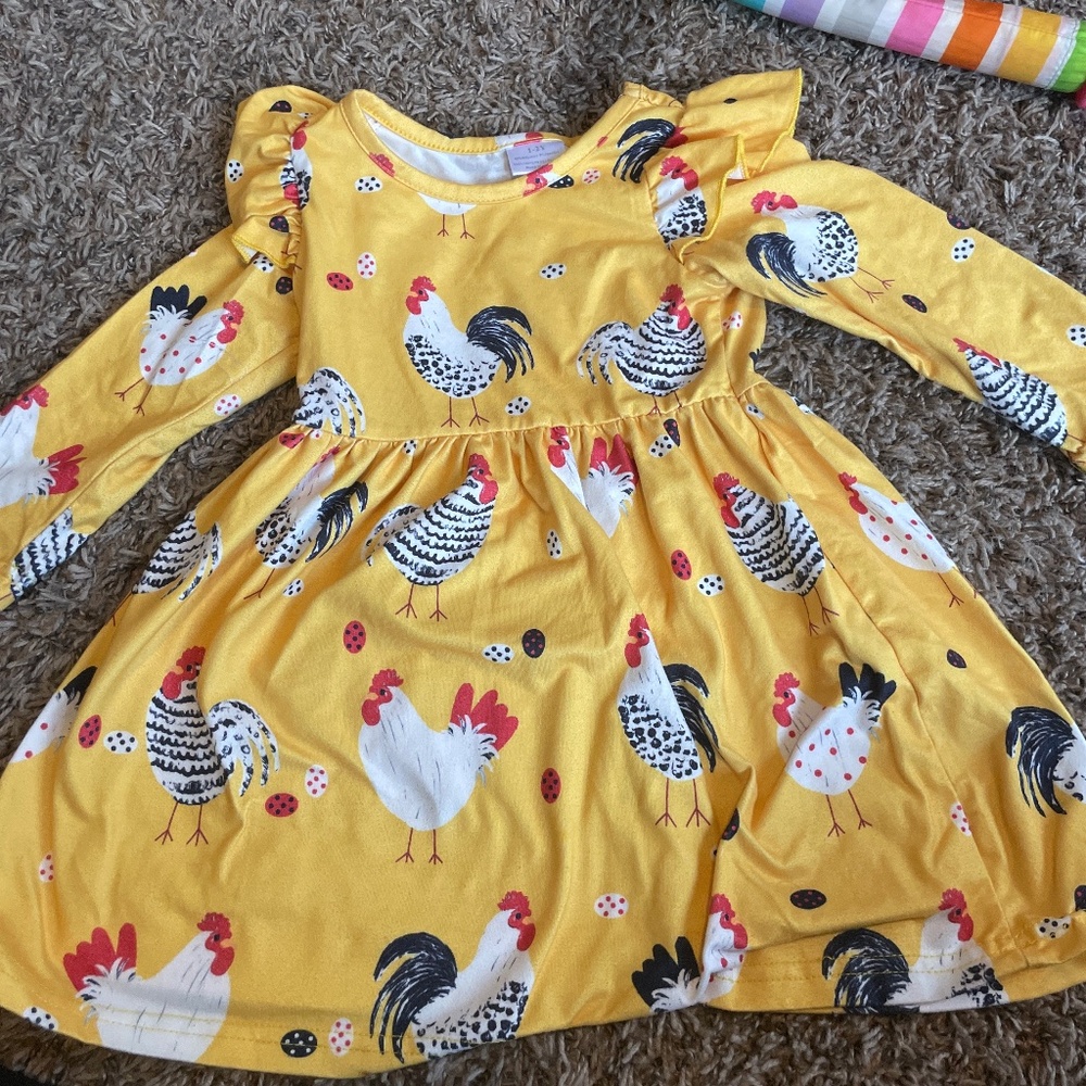 A baby winter chicken dress